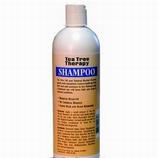 Tea Tree Shampoo