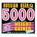 Chocolate Russian Bear 5000