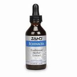 Echinacea Root