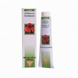 Echinacea Toothpaste