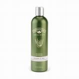 Organic Shampoo Lavender & Aloe