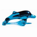 Dolphin Massager with Book