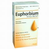 Euphorbium Sinus Relief
