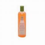 Therapeutic Treatment Shampoo