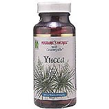 Yucca
