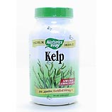 Kelp