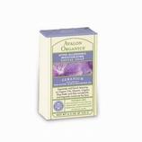 Geranium Hypo-Allergenic