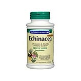 Echinacea Herb