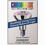 Frosted Floodlights 60W