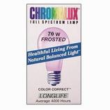 Frosted 75W