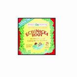 Echinacea Root Tea