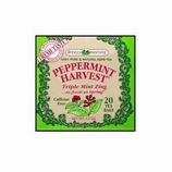 Peppermint Harvest Tea