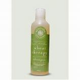 Wheat Therapy All Natural Shampoo