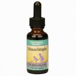 Echinacea/Astragalus Blend