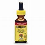 Barberry Root