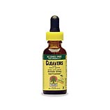 Cleavers Herb