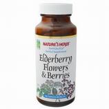 Elderberry Flowers & Berries
