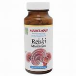 Reishi Mushroom