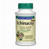 Echinacea Root