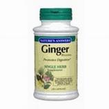 Ginger Rhizome