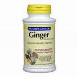 Ginger Rhizome Extract