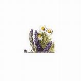Rosemary & Lavender