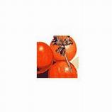 Tangerine & Witch Hazel