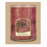 Berry Mimosa Deco Jar