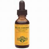 Blue Cohosh