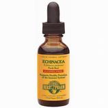 Echinacea Glycerite