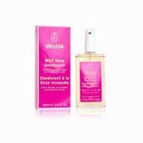 Wild Rose Deodorant