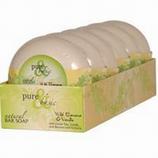 Green Tea Bar Soap Wild Banana Vanilla