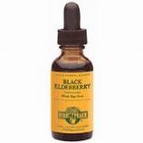 Black Elderberry Extract