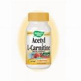 Acetyl L-Carnitine