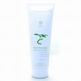 Green Tea & Soy Shaving Cream