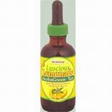 HerbaGreen Tea, Luscious Lemonade
