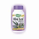 Olive Leaf 20 %