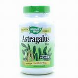 Astragalus