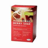 Hawthorne Berry Sage