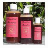 Rooibos Shampoo