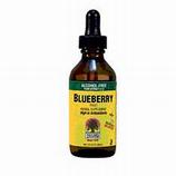 Blueberry Fruit Extract