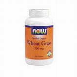 Wheat Grass