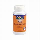 Sea Cucumber