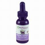 Immune Support for Cats