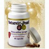 Muscadine Grape
