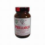 Phellolia