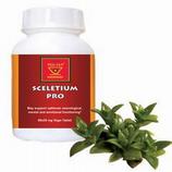 Sceletium Pro