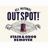 Out Spot Stain & Odor Remover Spray